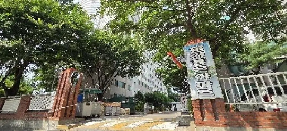 관련사진