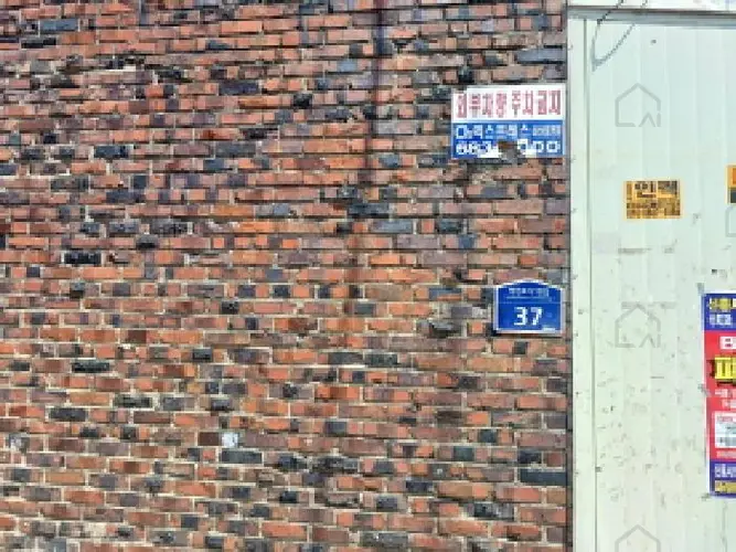 B000241202501300336292.jpg