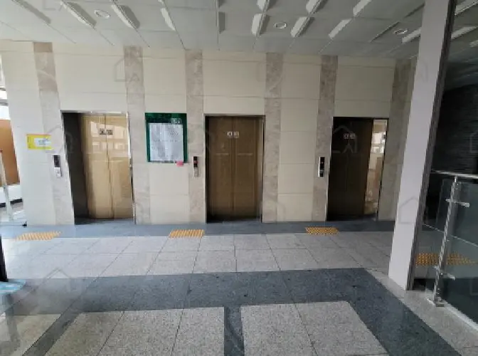 관련사진