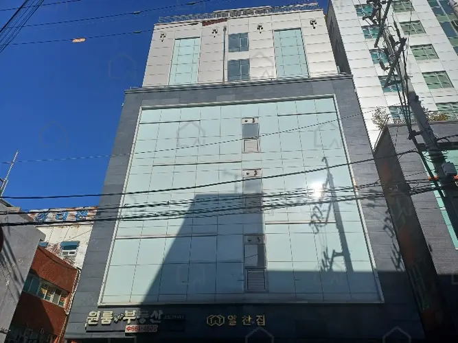 관련사진