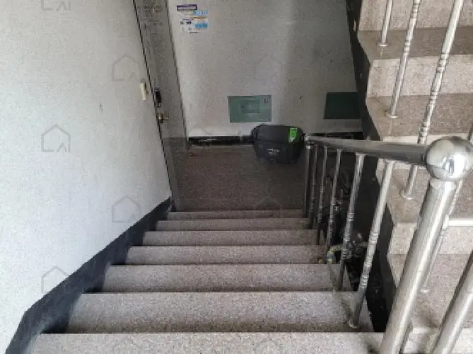 관련사진