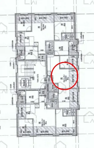 B000241202401300499931.jpg