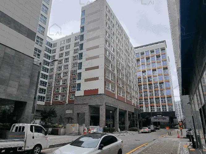 관련사진