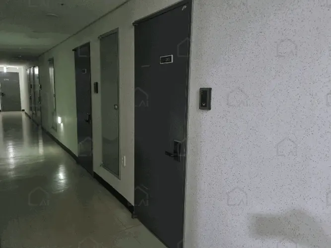 관련사진