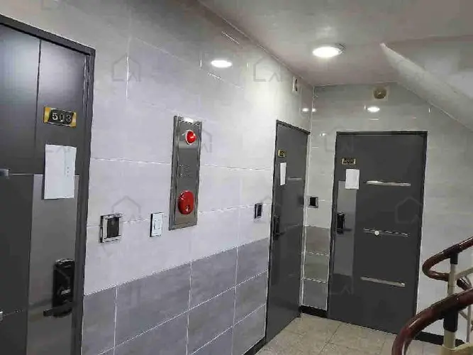 관련사진