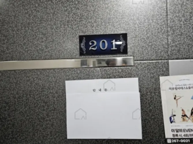 관련사진