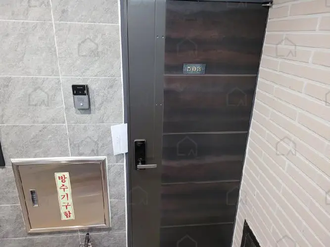 B0002502025013005672533.jpg