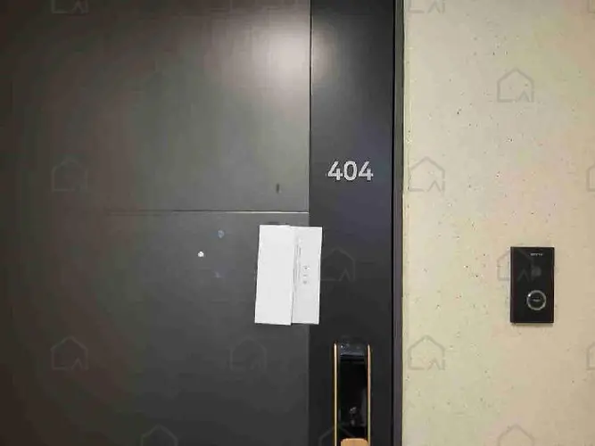 관련사진