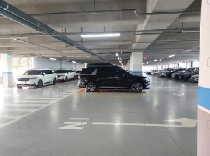관련사진