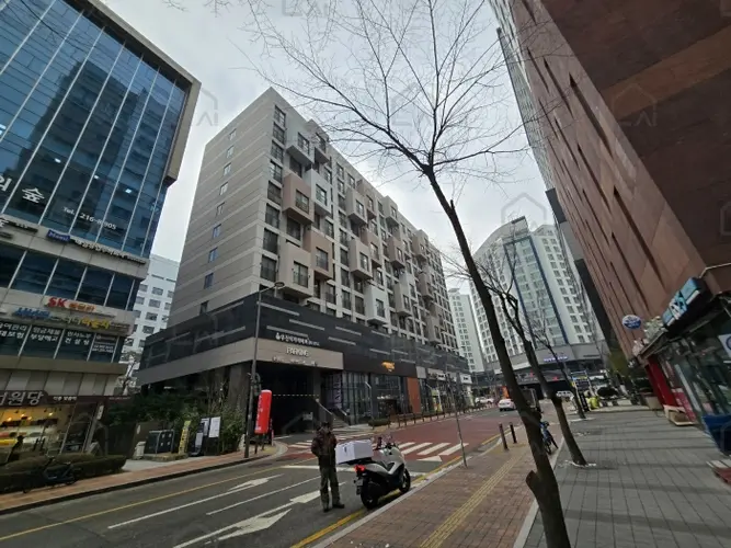 관련사진