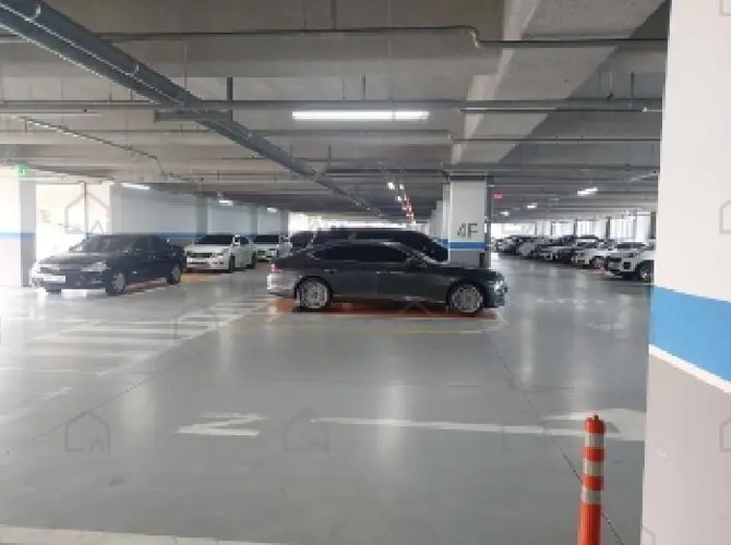 관련사진