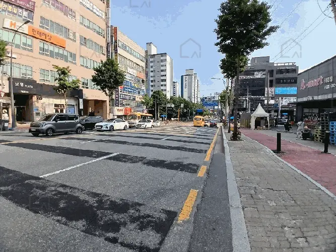 관련사진