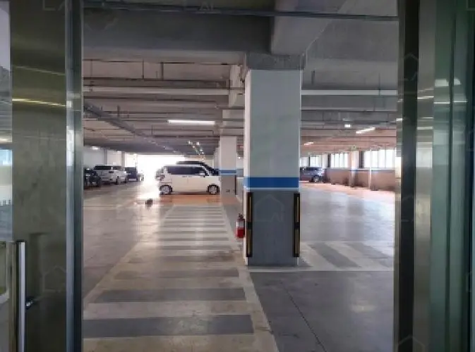 관련사진
