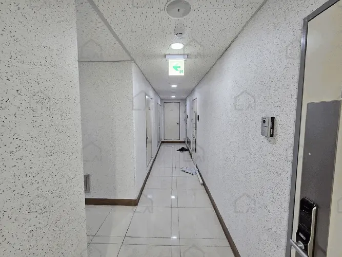 관련사진