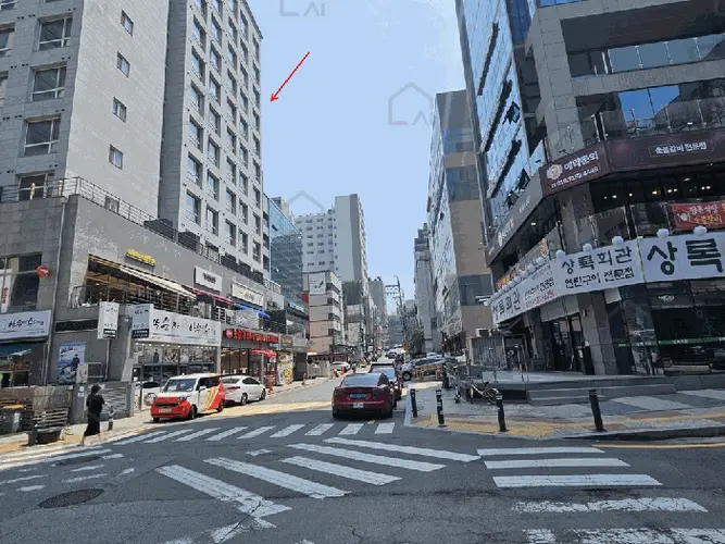 관련사진