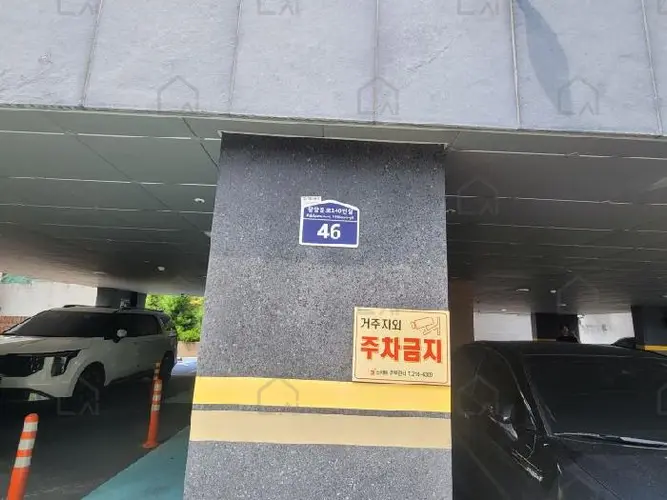 B0002502025013005672525.jpg