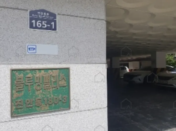 관련사진