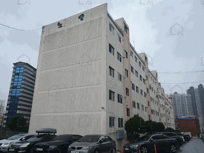 관련사진