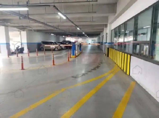 관련사진