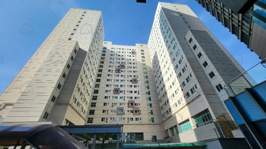 관련사진