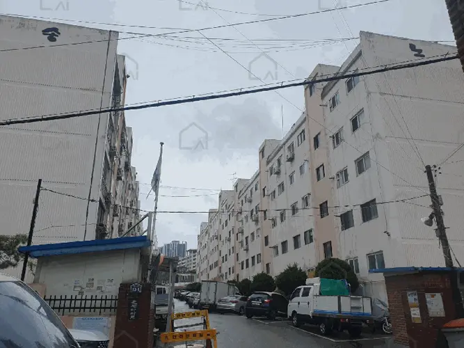 관련사진