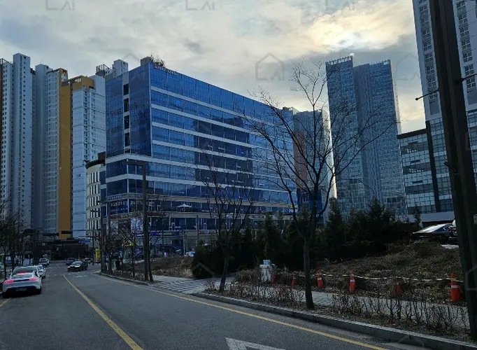관련사진