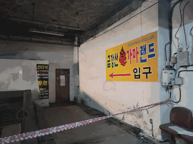 관련사진