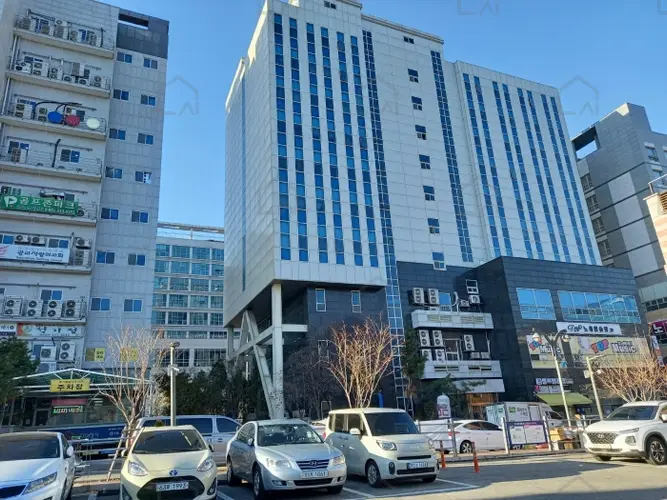 관련사진