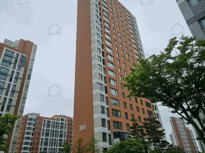 관련사진