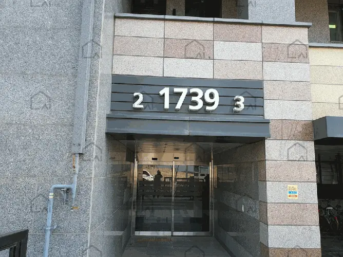 B000250202501300009263.jpg