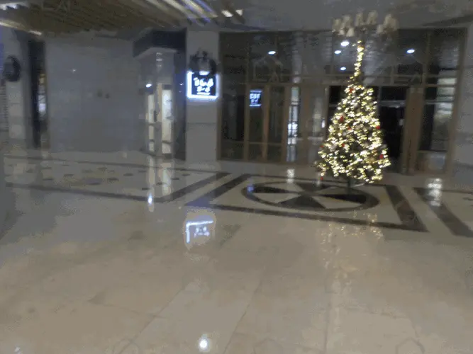 B000251202501300534159.jpg
