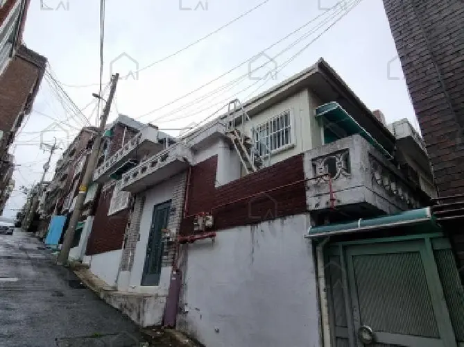 B000251202501300525362.jpg
