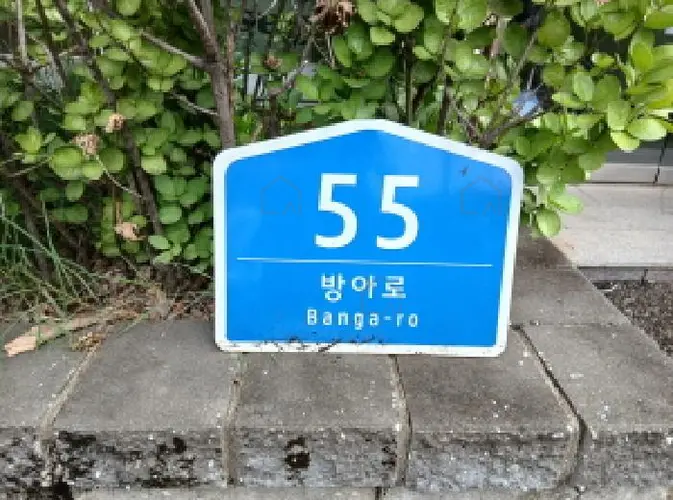 B000251202501300528352.jpg