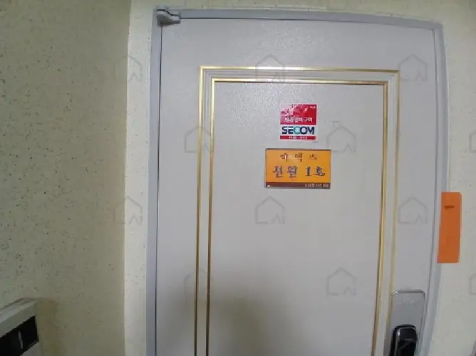 B000251202501300528355.jpg