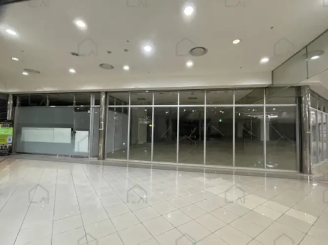 B0002512024013000525911.jpg
