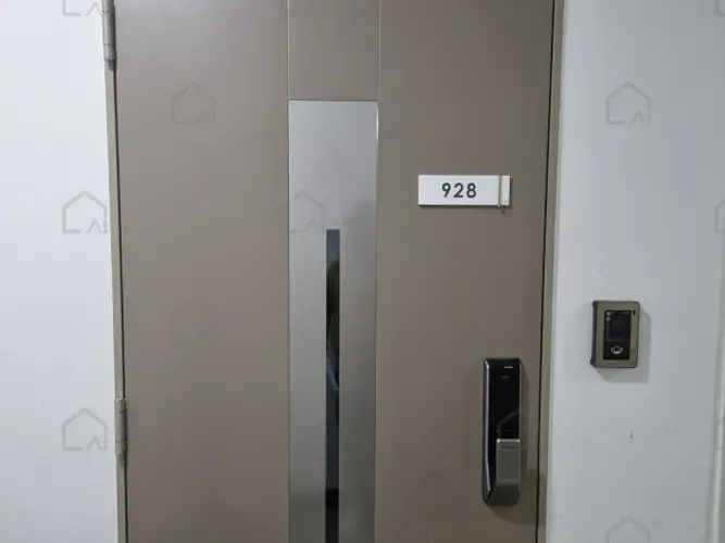 B000251202401300626729.jpg