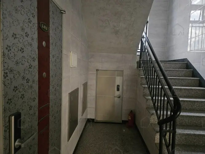 B000252202401300427636.jpg