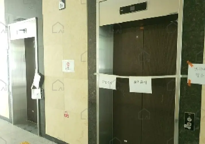 관련사진