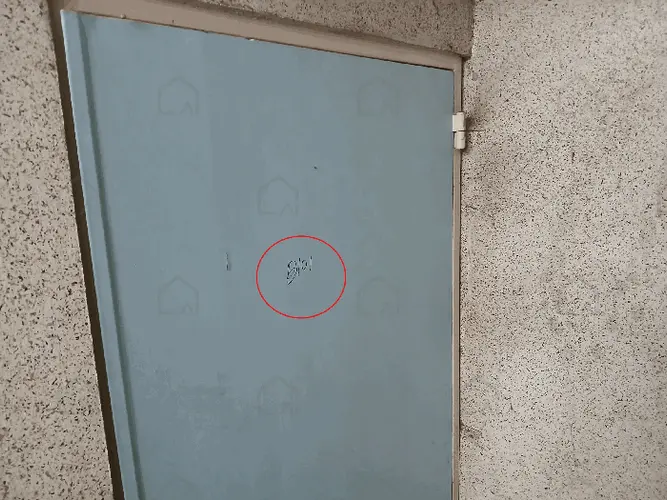 관련사진