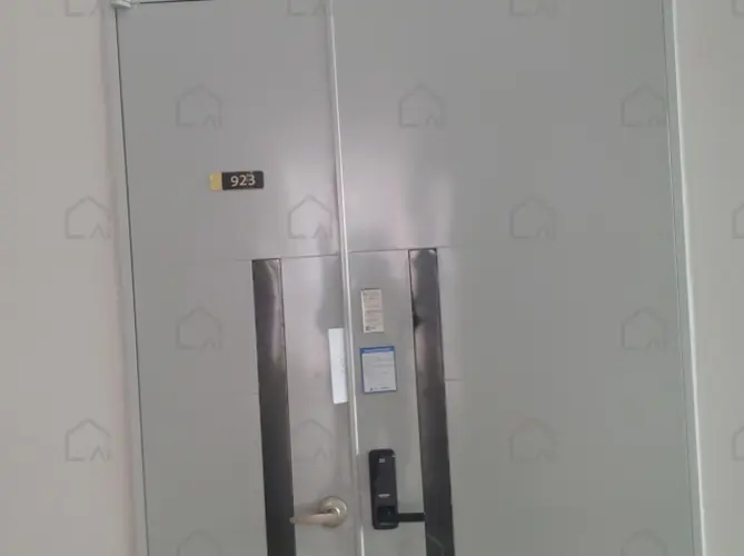 B000253202401300566594.jpg