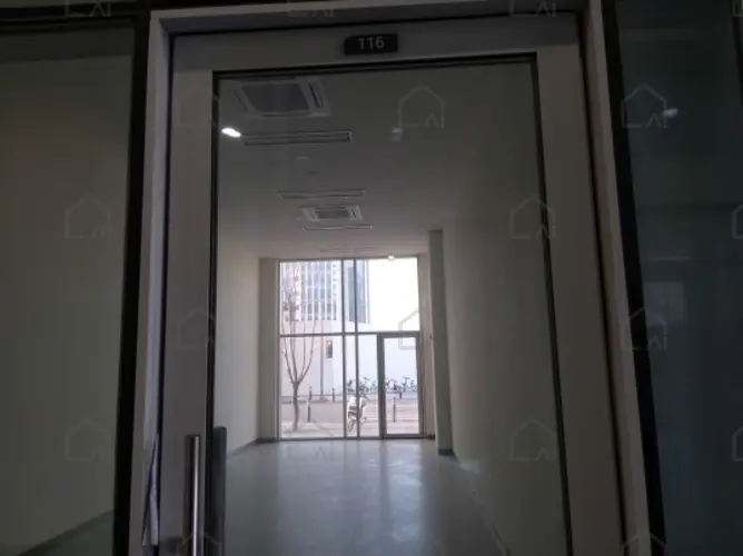 관련사진