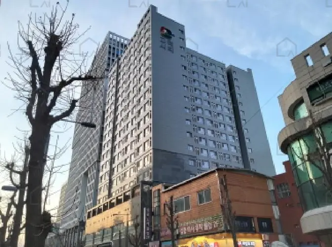 관련사진