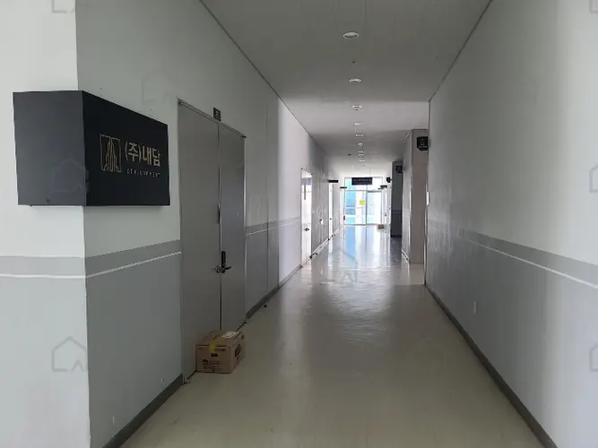 관련사진