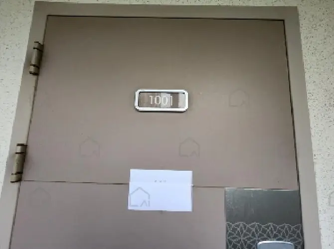 관련사진