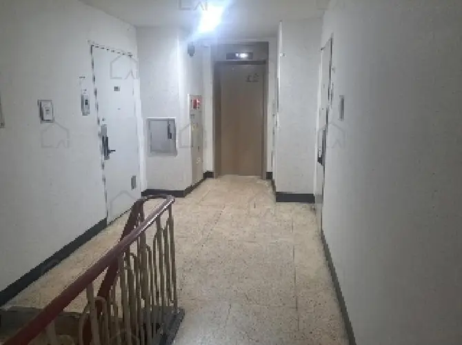 관련사진