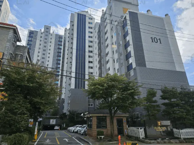 관련사진