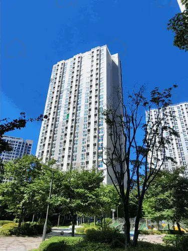 관련사진