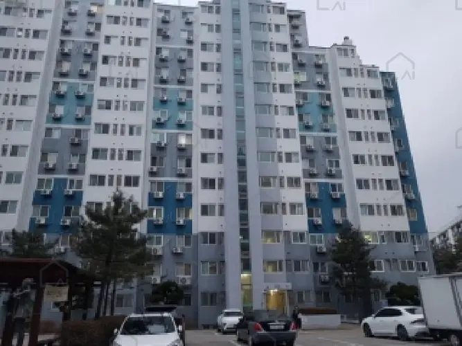관련사진