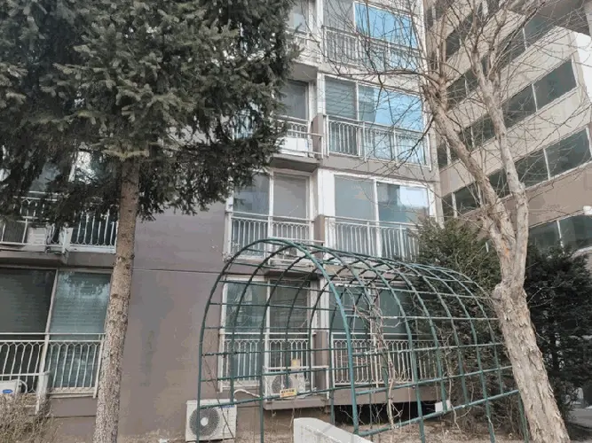 관련사진