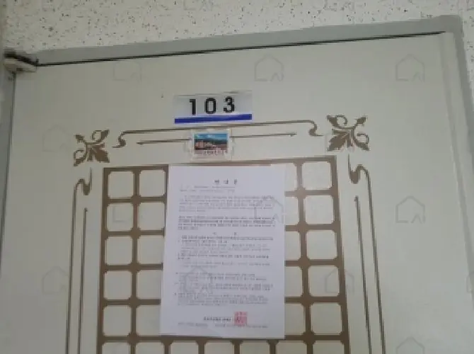 관련사진